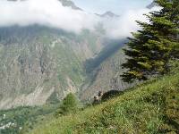 Youri - Ecrins 2005 331